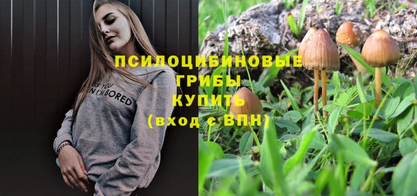 мяу мяу мука Киреевск