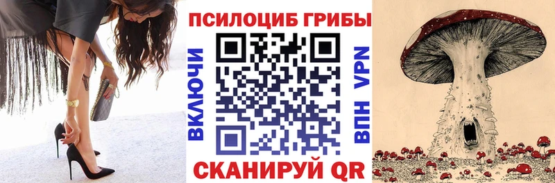 Галлюциногенные грибы Psilocybe  Купить  Рудня 